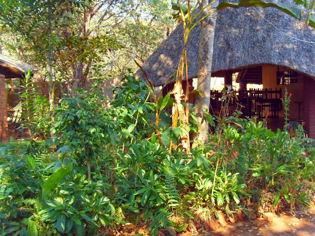 Mosi-Ua-Tunya Lodge Victoria Falls Exteriör bild